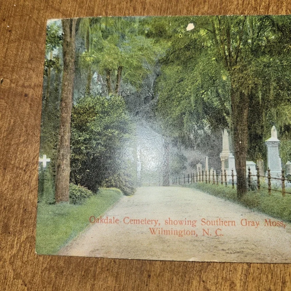 1908 Oakdale Cemetery Wilmington NC Postcard Southern Gray Moss‎ North...